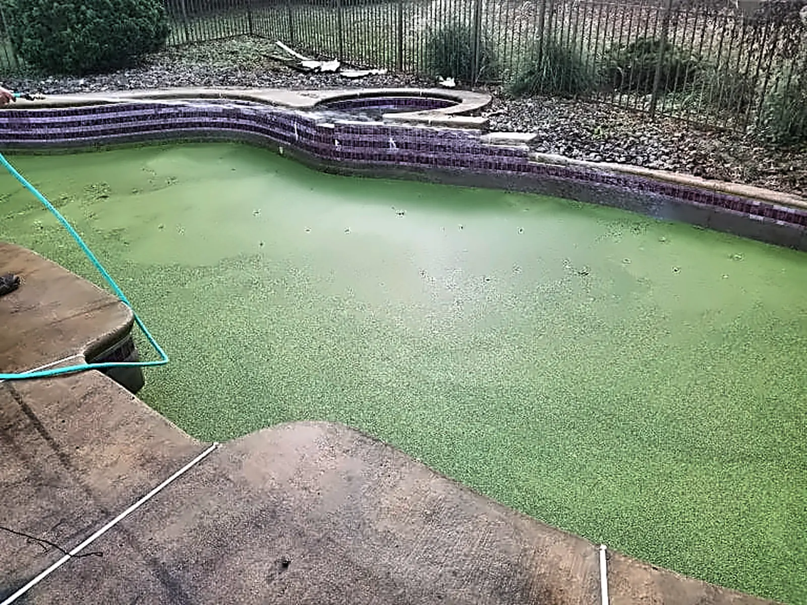 Green pool water before cleaning and chemical treatment